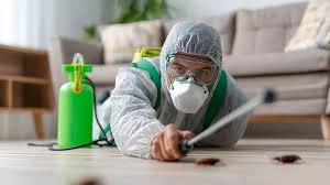pests maintenance